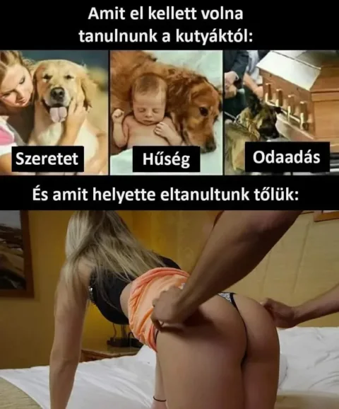 ]