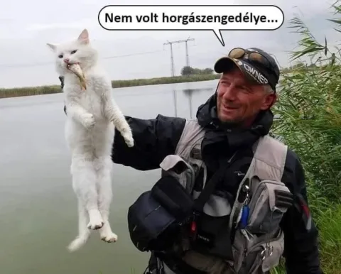 ]