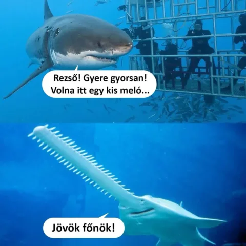 ]