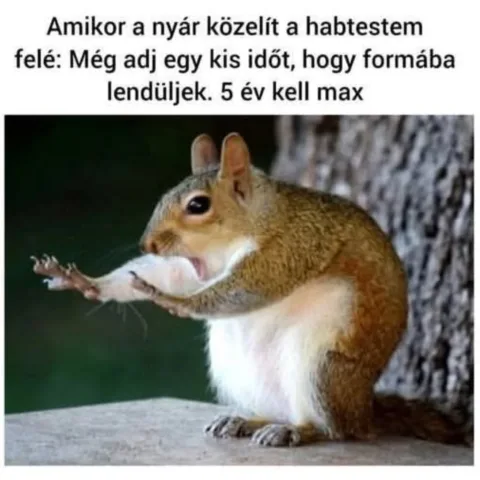 ]