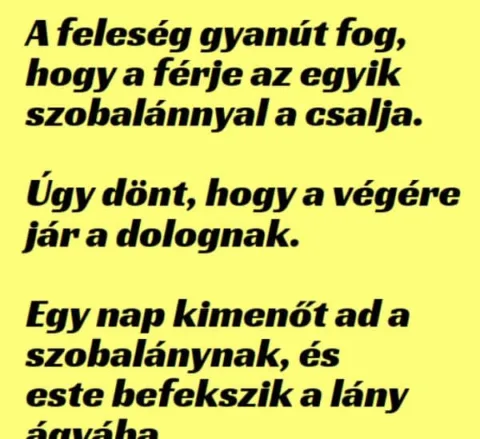 Vicc: A feleség gyanút fog, hogy a férje a szobalánnyal Vicc: A feleség gyanút fog, hogy a férje a szobalánnyal