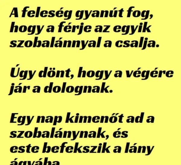 Vicc: A feleség gyanút fog, hogy a férje a szobalánnyal Vicc: A feleség gyanút fog, hogy a férje a szobalánnyal