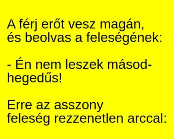 Vicc: A férj erőt vesz magán, és beolvas a feleségének: Vicc: A férj erőt vesz magán, és beolvas a feleségének: