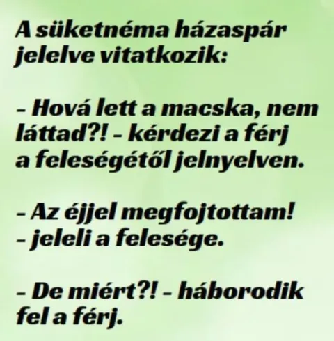 Vicc: A süketnéma házaspár jelelve vitatkozik Vicc: A süketnéma házaspár jelelve vitatkozik