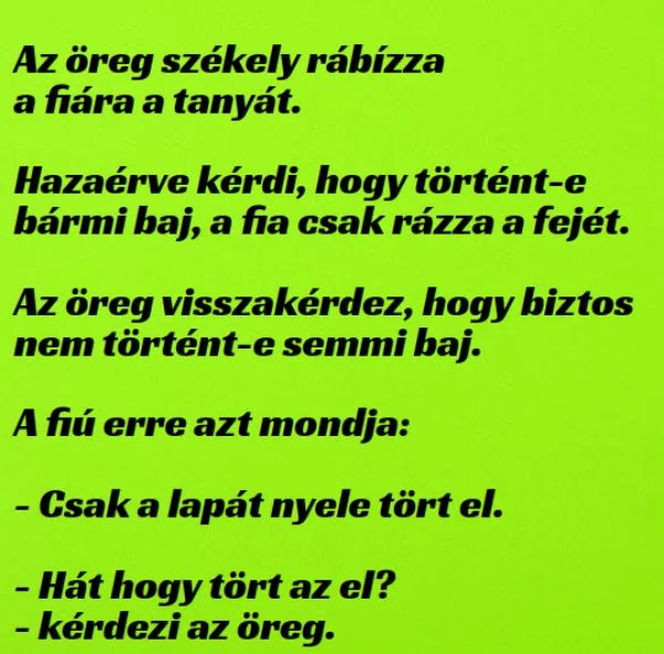 Vicc: Az öreg székely rábízza a fiára a tanyát Vicc: Az öreg székely rábízza a fiára a tanyát
