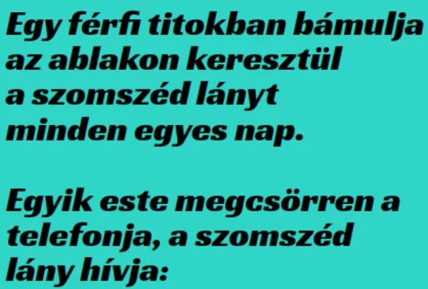 Vicc: Egy férfi minden nap lopva bámulja a szomszéd lányt Vicc: Egy férfi minden nap lopva bámulja a szomszéd lányt az…
