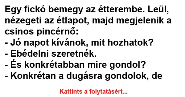 Vicc: Egy fickó bemegy az étterembe Vicc: Egy fickó bemegy az étterembe