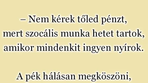 Vicc: Elmegy a pék a fodrászhoz, a fodrász le is Vicc: Elmegy a pék a fodrászhoz, a fodrász le is vágja a haját