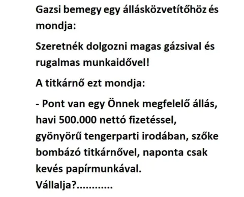 Vicc: Gazsi dolgozni akar…. Vicc: Gazsi dolgozni akar….