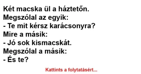 Vicc: Két macska ül a háztetőn Vicc: Két macska ül a háztetőn