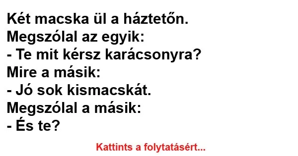 Vicc: Két macska ül a háztetőn Vicc: Két macska ül a háztetőn