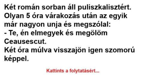 Vicc: Két román sorban áll puliszkalisztért