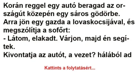 Vicc: Korán reggel egy autó beragad az országút közepén egy sáros gödörbe