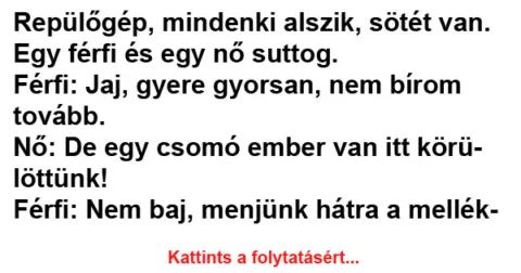 Vicc: Repülőgép, mindenki alszik, sötét van