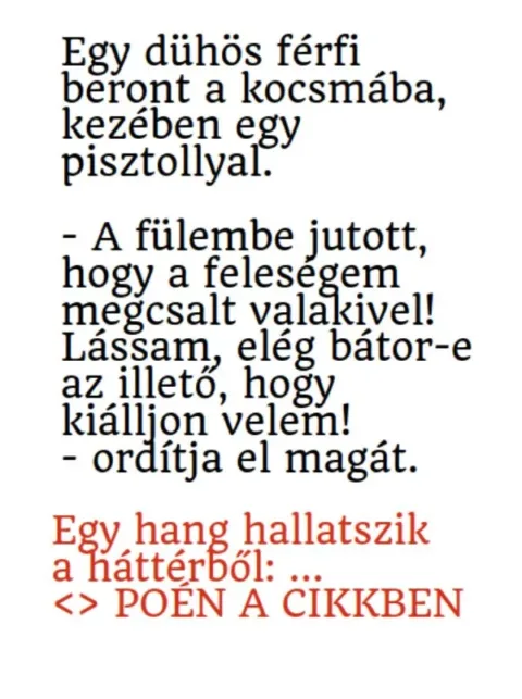 Vicc: egy dühös férfi beront a kocsmába Vicc: egy dühös férfi beront a kocsmába