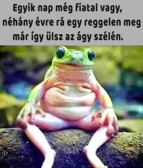 Vicces képek – 1743573613