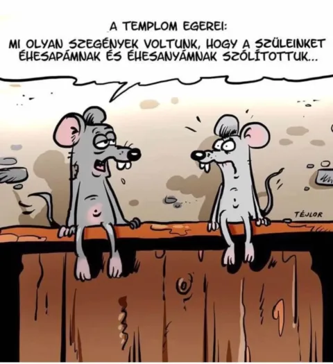 Vicces képek – 1743577216