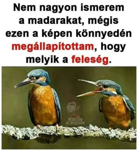 Vicces képek – 1743613215