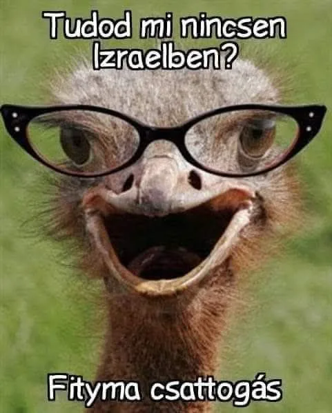 Vicces képek – 1743885631