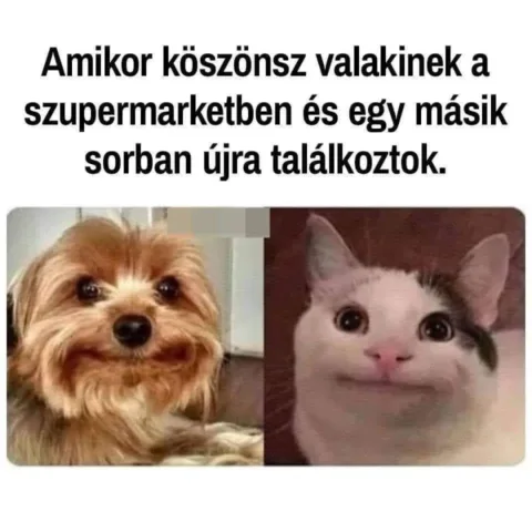 Vicces képek – 1743965310
