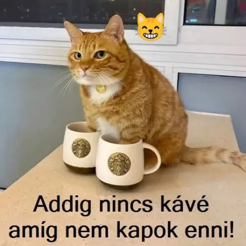 Vicces képek – 1744015718
