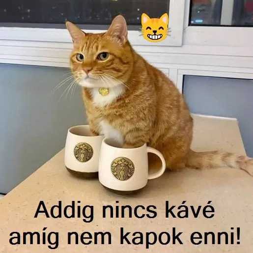 Vicces képek - 1744015718 Vicces képek – 1744015718