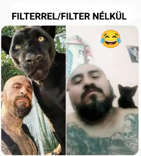 Vicces képek – 1744027089