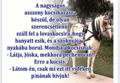 Vicces képek – 1744111803