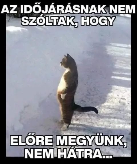 Vicces képek – 1744124410