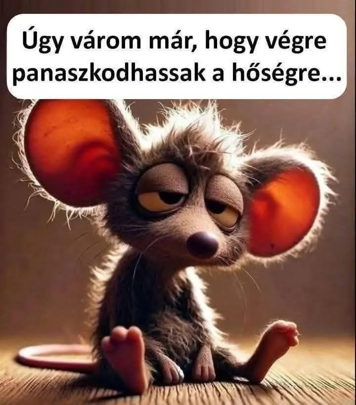 Vicces képek - 1744269226 Vicces képek – 1744269226
