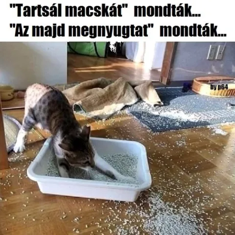Vicces képek – 1744299784