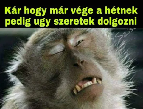 Vicces képek – 1744353102
