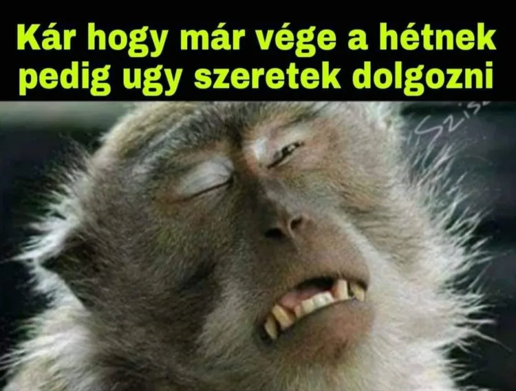 Vicces képek - 1744353102 Vicces képek – 1744353102