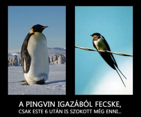 Vicces képek – 1744485069
