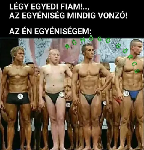 Vicces képek – 1744490471