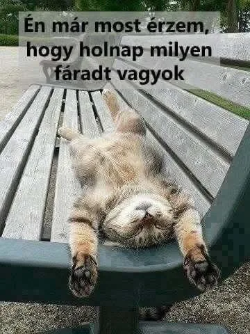 Vicces képek – 1744565434