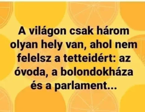 Vicces képek – 1744716603