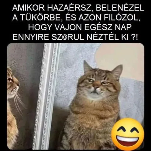 Vicces képek – 1744743620