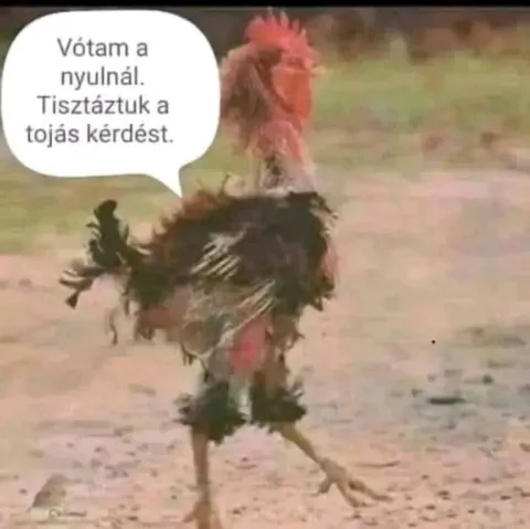 Vicces képek – 1744786219