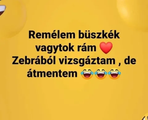 Vicces képek – 1744805759