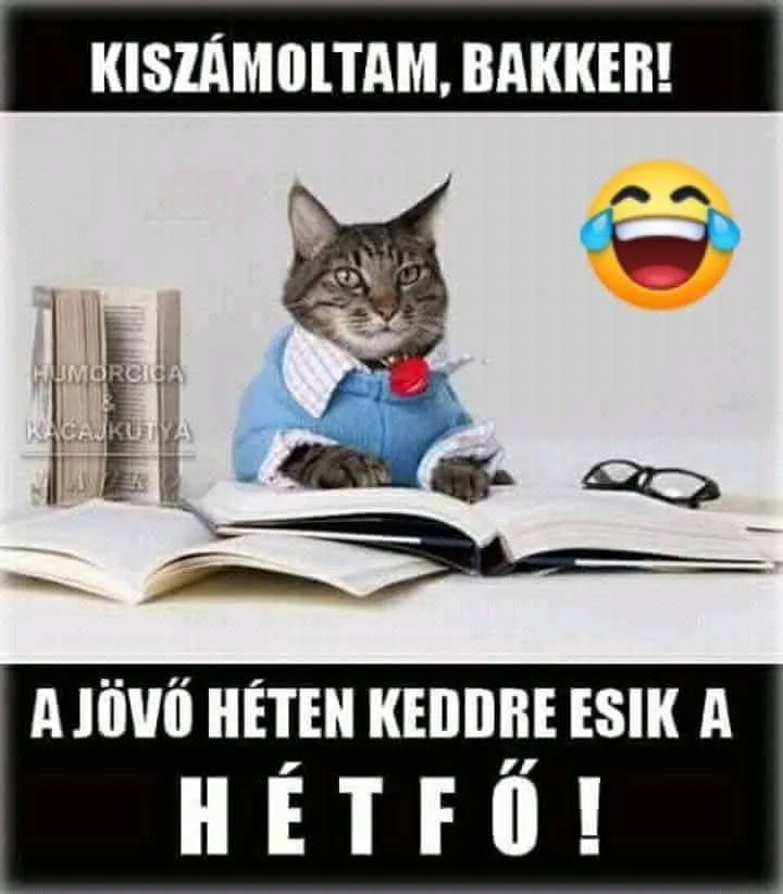 Vicces képek – 1744824562