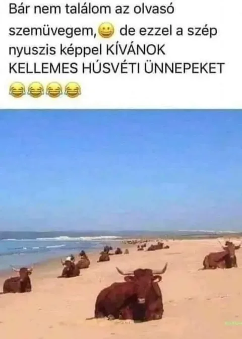 Vicces képek – 1745003303