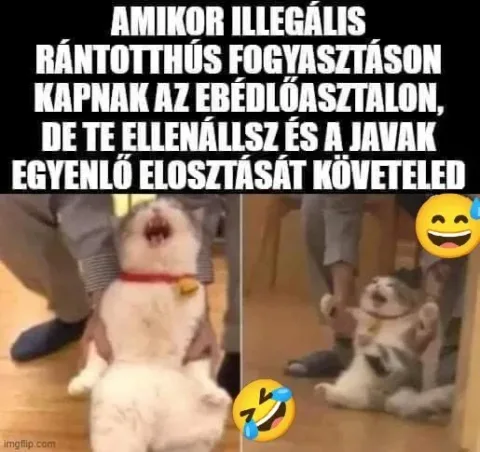 Vicces képek – 1745232746