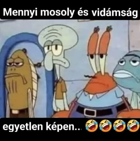Vicces képek – 1745259000