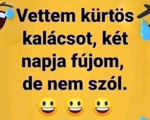 Vicces képek – 1745424006