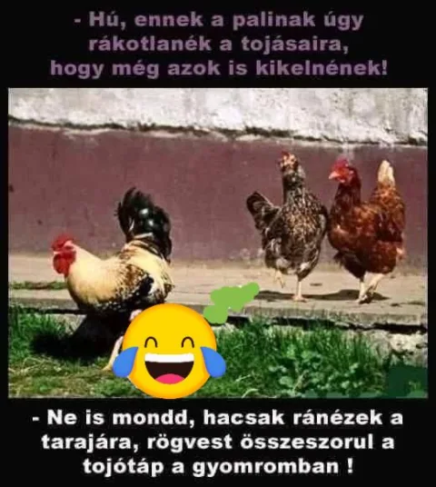 Vicces képek – 1745686844