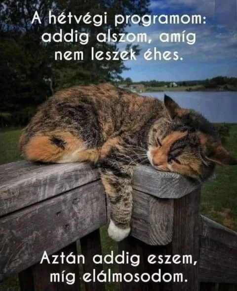 Vicces képek – 1745699107