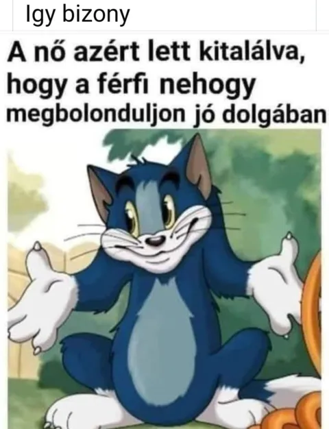 Vicces képek – 1745769640