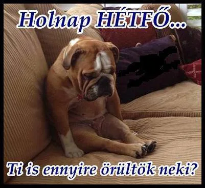 Vicces képek – 1745770848