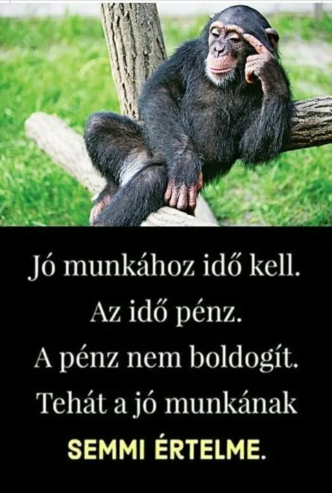 Vicces képek – 1745866818